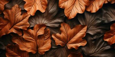 detailopname herfst droog blad getextureerde behang. gemaakt met ai gereedschap foto