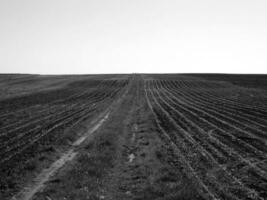 geploegd veld voor aardappel in bruine grond op open platteland natuur foto