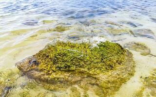 stenen rotsen koralen turkoois groen blauw water Aan strand Mexico. foto