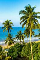 mooi paradijs tropisch strand golven palmen mirissa strand sri lanka. foto