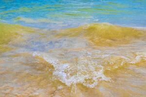 golven Bij tropisch strand caraïben zee Doorzichtig turkoois water Mexico. foto