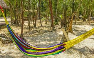 kleurrijk hangmatten in Mexicaans tropisch oerwoud Woud in tulum Mexico. foto