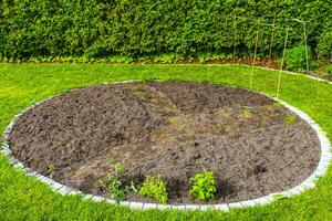 tuin met ronde bedden bodem jong spruiten planten in duitsland. foto