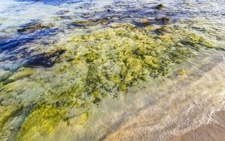 stenen rotsen koralen turkoois groen blauw water Aan strand Mexico. foto