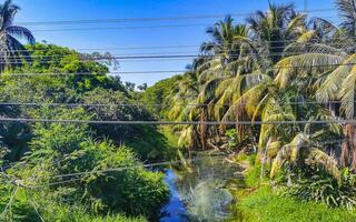 groen mooi tropisch rivier- zoetwater lagune in puerto escondido Mexico. foto