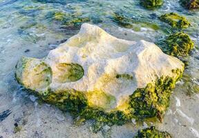 stenen rotsen koralen turkoois groen blauw water Aan strand Mexico. foto