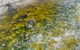 stenen rotsen koralen turkoois groen blauw water Aan strand Mexico. foto