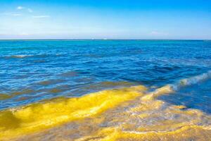 golven Bij tropisch strand caraïben zee Doorzichtig turkoois water Mexico. foto