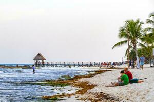 playa del carmen quintana roo Mexico 2023 tropisch caraïben strand Doorzichtig turkoois water steiger playa xcalacoco Mexico. foto