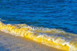 golven Bij tropisch strand caraïben zee Doorzichtig turkoois water Mexico. foto