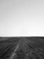 geploegd veld voor aardappel in bruine grond op open platteland natuur foto