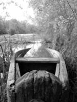oude houten gebroken boot om te zwemmen op oevers water in natuurlijk riet foto