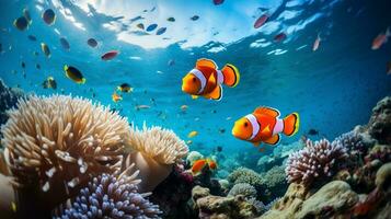 foto van clown vis met divers vis tussen gezond koraal riffen in de blauw oceaan. generatief ai