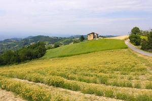 landschap van velden in italië foto