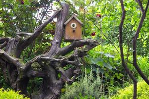 klein vogelhuisje in de tuin foto