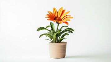 foto van Gazania bloem in pot geïsoleerd Aan wit achtergrond. generatief ai