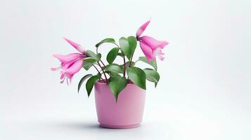 foto van fuchsia bloem in pot geïsoleerd Aan wit achtergrond. generatief ai