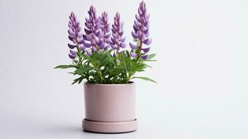 foto van lupine bloem in pot geïsoleerd Aan wit achtergrond. generatief ai