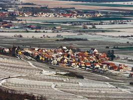 panoramisch dronezicht op besneeuwde wijngaarden in het Rijndal foto