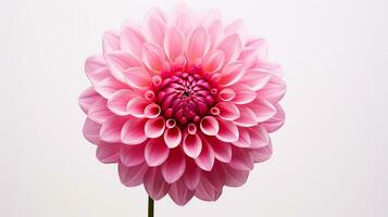 foto van mooi dahlia bloem geïsoleerd Aan wit achtergrond. generatief ai