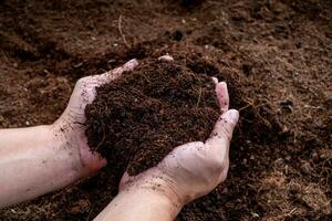 hand- Holding vruchtbaar zwart bodem. landbouw, biologisch tuinieren, aanplant of ecologie concept. milieu, aarde dag. spandoek. top visie. kopiëren ruimte. boer controle voordat zaaien foto