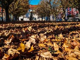 park in de stad straatsburg, frankrijk foto