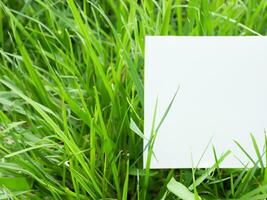 blanco papier Aan groen gras achtergrond foto
