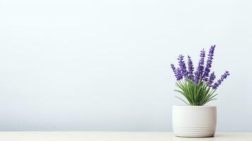 foto van lavendel bloem in pot geïsoleerd Aan wit achtergrond. generatief ai