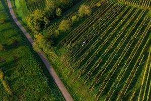 een drone-weergave van de uitlopers van de vogezen, frankrijk foto