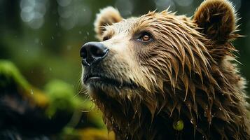 detailopname foto van een beer op zoek ieder richting Aan oerwoud. generatief ai