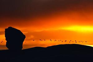 prachtige zonsondergang met vogels foto