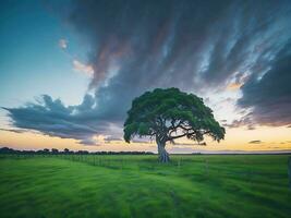 vrij foto breed hoek schot van een single boom groeit onder een bewolkt lucht gedurende een zonsondergang omringd door gras ai generatief