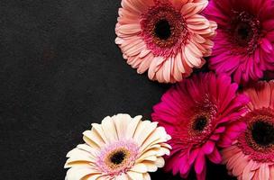 heldere gerbera bloemen op zwarte achtergrond foto