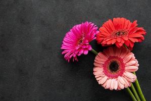 heldere gerberabloemen op een zwarte achtergrond foto