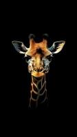 minimalistische giraffe Aan donker achtergrond generatief ai foto