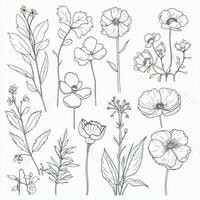 doorlopend schets stijl bloem reeks voor botanisch en bloemen decoratie foto
