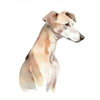 minimalistische whippet waterverf schilderij Aan zacht pastel achtergrond foto