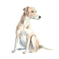 minimalistische whippet waterverf schilderij Aan zacht pastel achtergrond foto