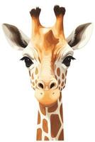 zoet baby giraffe illustratie foto