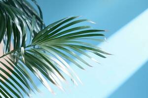 minimaal abstract achtergrond met wazig palm blad schaduwen Aan licht blauw muur foto