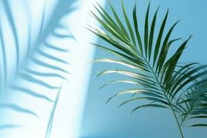 minimaal abstract achtergrond met wazig palm blad schaduwen Aan licht blauw muur foto