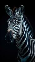 zebra in de stijl van bokeh Aan donker achtergrond ai gegenereerd foto