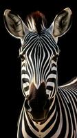 minimalistische zebra Aan donker achtergrond ai gegenereerd foto