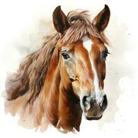waterverf hoofd van een bruin paard clip art Aan wit achtergrond ai gegenereerd foto