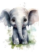 aanbiddelijk waterverf baby olifant clip art Aan wit achtergrond ai gegenereerd foto