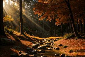 foto van de herfst berg Woud, Woud rivier, bemost stenen, zon stralen behang