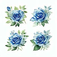waterverf blauw rozen clip art foto