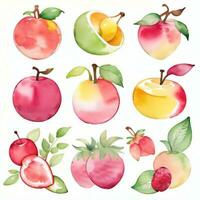 waterverf fruit clip art foto