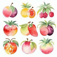 waterverf fruit clip art foto