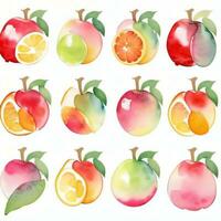 waterverf fruit clip art foto